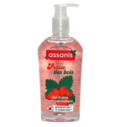 Assanis Gel Hydroalcooliq Frais Bois250Ml