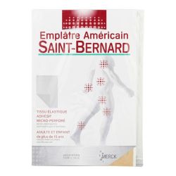 Saint-Bernard Empl 20X30Cm 1