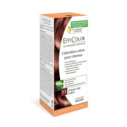 EFFICOLOR CHATAIGNE 55 BT1