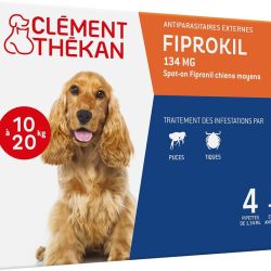 Fiprokil Moy/Chien Pipet1,34Ml4