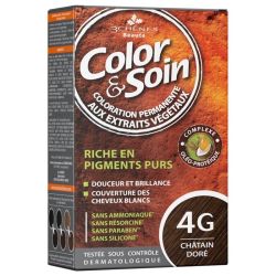 Les 3 Chenes Colorampsoin 4G Chatain Dore